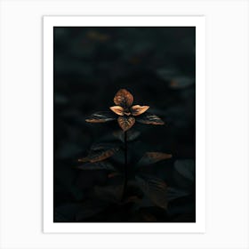 Flower In The Dark 45 Art Print