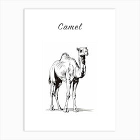 B&W Camel Poster Art Print