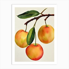 Feijoa Watercolour Fruit Painting Fruit Art Print