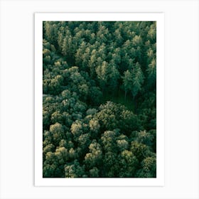 Aerial View Of A Forest | Landscape and travel photography Art Print