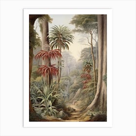 Vintage Jungle Botanical Illustration Cordyline 3 Art Print