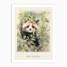 Beatrix Potter Inspired  Animal Watercolour Red Panda 4 Art Print