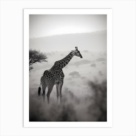 Giraffe In The Mist Art Print