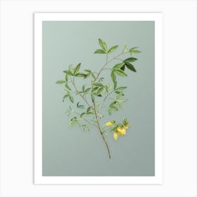 Vintage Stinking Bean Trefoil Botanical Art on Mint Green n.0807 Art Print