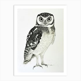 Spectacled Owl Drawing 2 Art Print