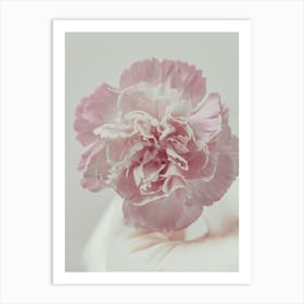 Pink Carnation Flower Art Print