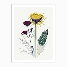 Elecampane Spices And Herbs Minimal Line Drawing 2 Art Print