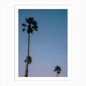 Sunset Palm Trees 4 Art Print