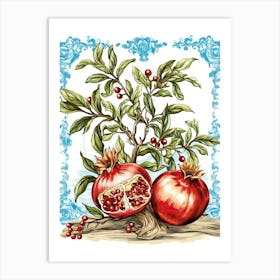 Pomegranate Illustration 7 Art Print