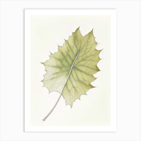 Sycamore Leaf Art Print