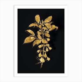 Vintage Mountain Silverbell Botanical in Gold on Black n.0432 Art Print