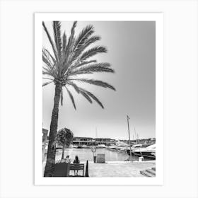 Palm Tree At The Marina Art Print