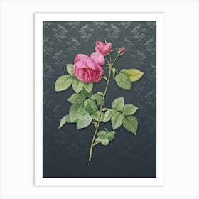 Vintage Pink Bourbon Roses Botanical on Slate Gray Pattern Art Print