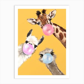 Giraffes Chewing Gum Canvas Print Art Print