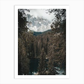 Lake In Forest Art Print