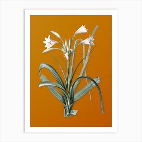 Vintage Malgas Lily Botanical on Sunset Orange n.0256 Art Print