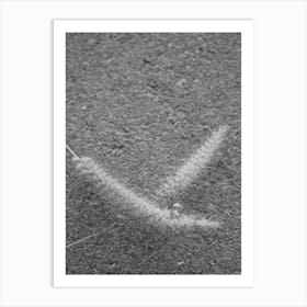 Black And White Grass In The Sand Art Print