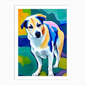 Canaan Dog Fauvist Style Dog Art Print