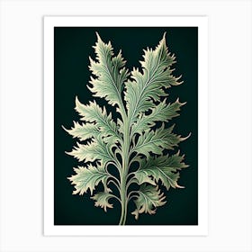 Artemisia Leaf Vintage Botanical 3 Art Print