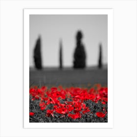 Italy Field Poppies Bw Art Print