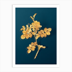 Vintage Pink Sweetbriar Rose Botanical in Gold on Teal Blue n.0219 Art Print