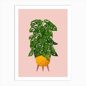 Monstera Adansonii On Pink Art Print