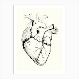 Human Heart Monoline Hand Drawing Aesthetic Illustration Art Print