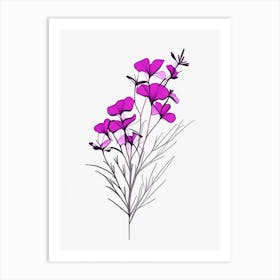 Phlox Floral Minimal Line Drawing 1 Flower Art Print