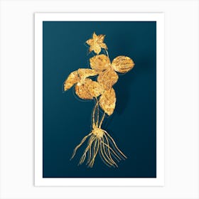 Vintage Trillium Rhomboideum Botanical in Gold on Teal Blue Art Print