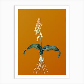 Vintage Watsonia Botanical on Sunset Orange Art Print