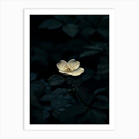 Dark Flower 31 Art Print