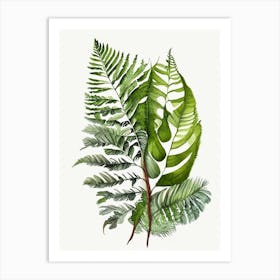 Crested Wood Fern Watercolour Art Print