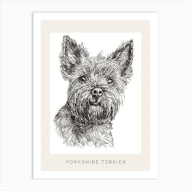 Yorkshire Terrier Black & White Line Sketch 2 Poster Art Print