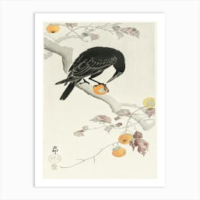 Crow With Kaki Fruit (1900 1910), Ohara Koson Art Print
