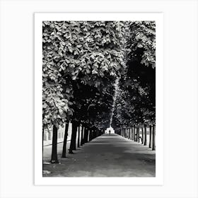 Pathway Through the Trees in Paris. This image depicts a serene, tree-lined pathway with dense foliage overhead, creating a tunnel-like effect. The pathway is flanked by tall trees on both sides, leading to a distant, solitary figure walking towards the horizon. The monochromatic color scheme adds a timeless, contemplative atmosphere to the scene. Art Print