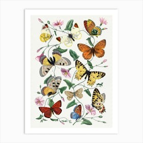 Garden Butterflies Vintage Art Prints Art Print