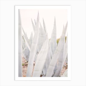 Bright Agave Plants Art Print