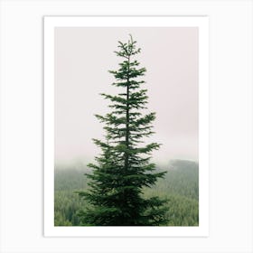 Single Tree Art Print