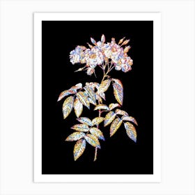 Stained Glass Musk Rose Mosaic Botanical Illustration on Black n.0203 Art Print