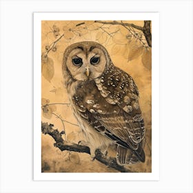 Oriental Bay Owl Japanese Painting 5 Art Print