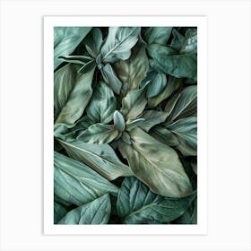 Green Leaves Background 2 Art Print