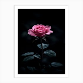 Dark Rose 6 Art Print