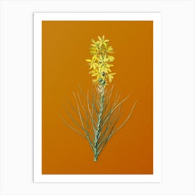 Vintage Yellow Asphodel Botanical on Sunset Orange n.0506 Art Print