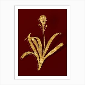 Vintage Spanish Bluebell Botanical in Gold on Red n.0168 Art Print