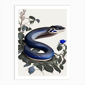 Texas Indigo Snake Vintage Art Print