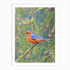 Eastern Bluebird Haeckel Style Vintage Illustration Bird Art Print