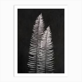 Forest Fern Leaves Black and Whtie Art Print