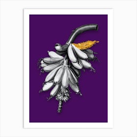 Vintage Banana Black and White Gold Leaf Floral Art on Deep Violet n.0752 Art Print