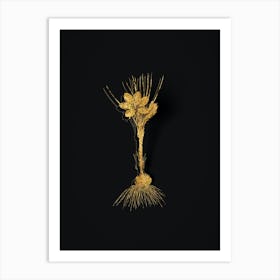 Vintage Crocus Sativus Botanical in Gold on Black n.0565 Art Print