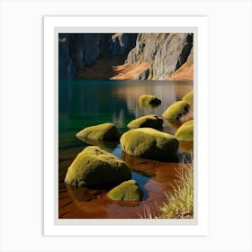 Mossy Rocks Art Print